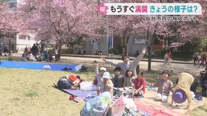 気温上昇の仙台市　錦町公園と西公園は花見客が訪れる