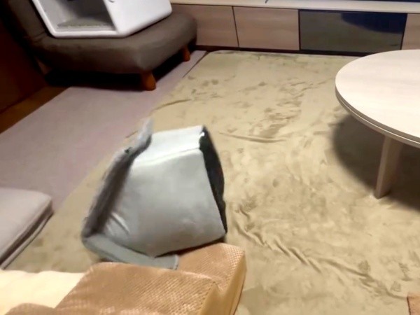 さらにハウスは転がって前へ（画像提供：プリンセスさん）