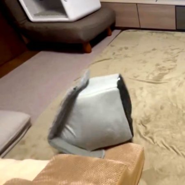 さらにハウスは転がって前へ（画像提供：プリンセスさん）