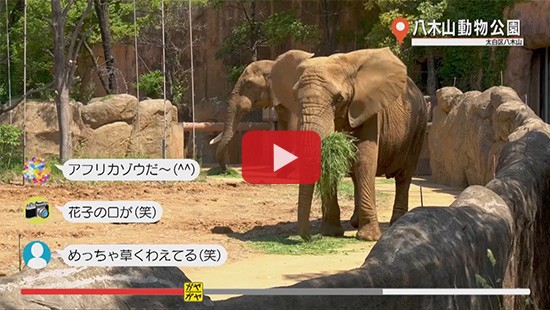 #97八木山動物公園③