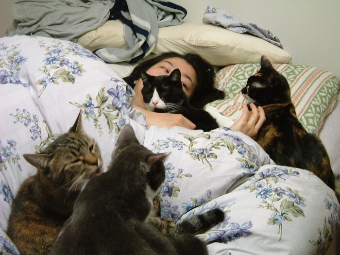 かつては葉子さんの枕の側がはちべえの定位置だったようだ（葉子さん提供）