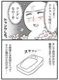 【漫画】『ネコと暮らした9日間』27（イゴカオリさん提供）
