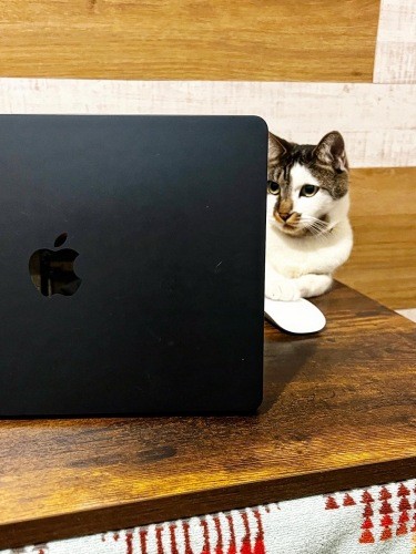 真剣におしごと中？