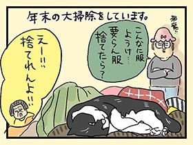 断捨離基準はかわいさレベル!?　やっぱ、猫じゃけぇ(51)