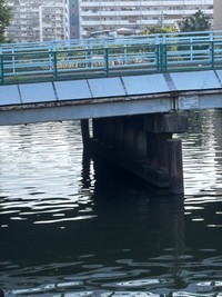 （あるさん提供）