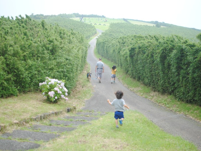 ジオを連れて、高原へ（恵理さん提供）