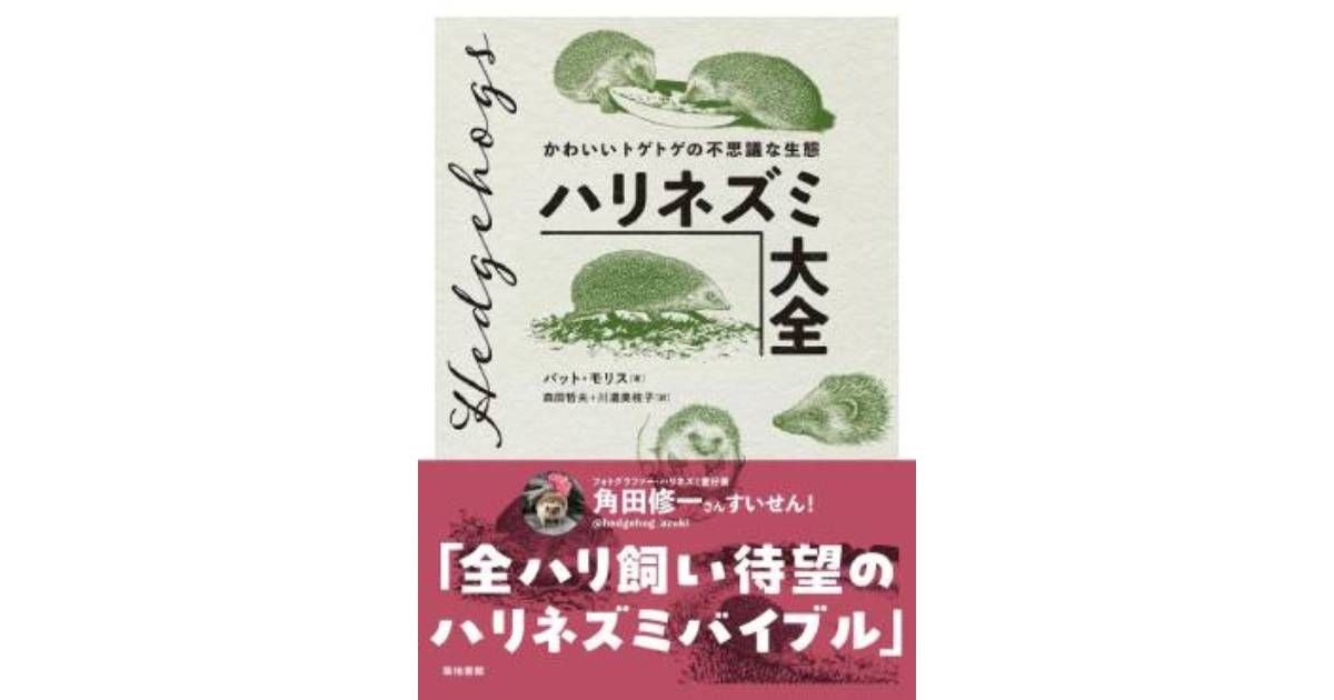 ハリネズミ大全」書評 軽妙に丁寧にトゲトゲを解き明かす｜好書好日