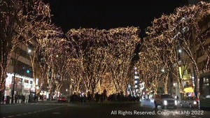 ＳＥＮＤＡＩ光のページェント　９日の開幕を前に試験点灯