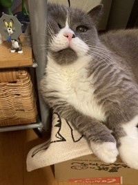 自由気ままな態度に翻弄させられた