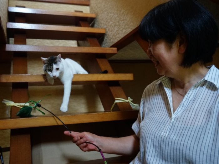 階段で遊ぶしろと久仁子さん「楽しく暮らしましょう！」