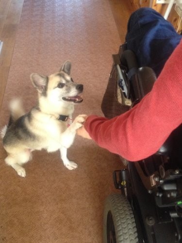 今崎さんに甘えています