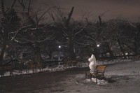 雪景色の井の頭公園に佇むムーミン／ゆたさん（@titiyuu）提供
