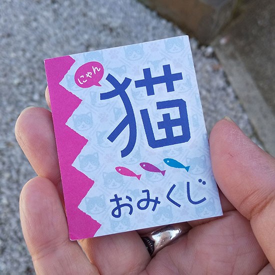 私が引いた「猫（にゃん）おみくじ」。中身はナイショとさせていただきます