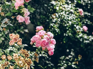 何かの「ふり」はやめた　装いを力に、私は私を救う