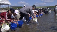 「復興のシンボル」　西日本豪雨で被災した養殖場から鮎の稚魚を初放流　岡山
