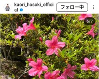 細木 かおり (@kaori_hosoki_official)さんのインスタグラムより