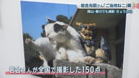 ©Mitsuaki Iwago
