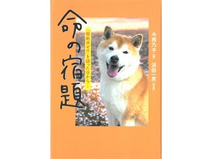 閉じ込め飼育・殺処分ゼロ・毛皮農場…人間を支える動物の命を考える3冊