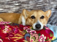 たくさんの人が私のお尻を可愛いって言ってくれたの（提供：erinaさん）