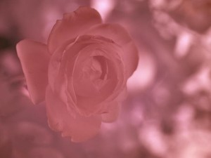 モテそうなのにの「なのに」って、ネガティブな印象を受けてしまう