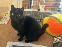 カメラ目線でドヤ顔（画像：大日本動物愛護帝国さん）