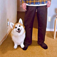 お父さんと並んでパシャリ！ 笑顔のガブちゃんですが、足元を見るとーー（画像提供：ガブちゃんさん）