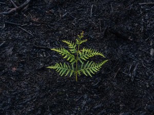 火事で失った家と「当たり前」。そして頭が上がらないほどもらった恩