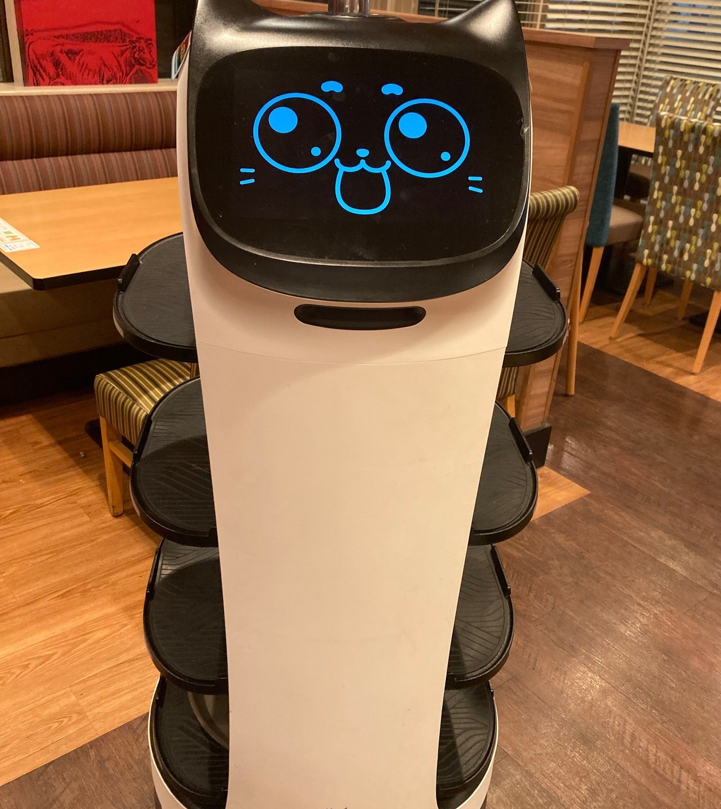 ネコ型ロボットが配達した謎メッセージ「ほっこりしました」の声続出