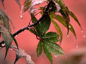 感動する「健康な心」は過労で失われた。でも、きっと私は見つける