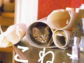 20年前の傑作猫映画がよみがえった！　猫の名演技にメロメロ