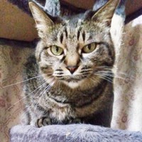 立派に成長したレモンちゃん（画像提供：バニラさん）