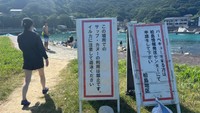 柏島にて、イルカへの注意を呼び掛ける看板（提供：たびぼっち🏕車中泊＆キャンパーさん）
