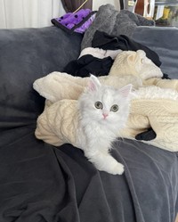 脱出できました！（提供写真）