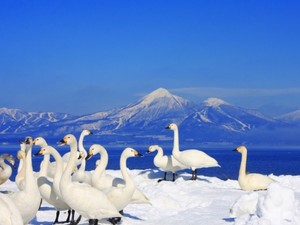 湿地の定義はこんなに広い！　田んぼも河川敷も「湿地」だった