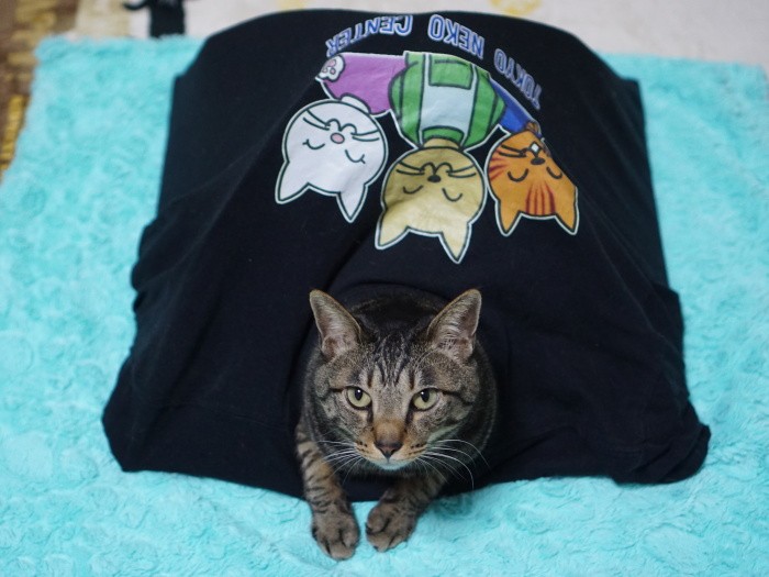 中で方向転換して顔出し