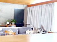 キャベツを冷蔵庫から出した瞬間、サムくんの頭がひょっこり（画像提供：sumくん）