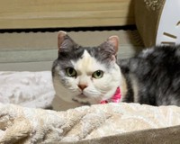 目つきが悪いって、誰が言った？