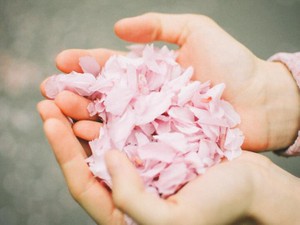 SNSで知った彼女の存在。自分勝手に突き放したのは私なのに