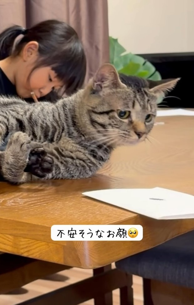 不安そうな顔を浮かべるピノくん（「yuka.yu.mugi」さん提供、Instagramよりキャプチャ撮影）
