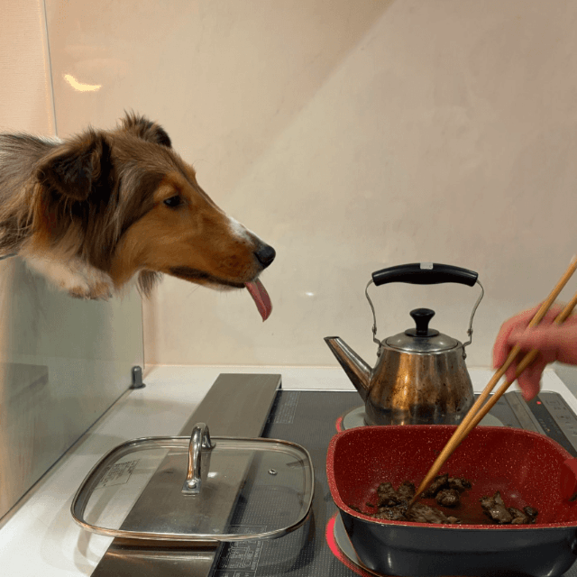 湯気まで味わいつくす！ベルっち 画像提供：飼い主