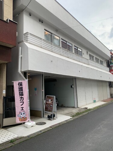 越谷駅から徒歩4分。猫エイズ陽性の猫のいる2号店に行く途中に大人の猫の保護猫カフェ1号店がある。はしごをする人も多い。2号店には掃除や世話などをするボランティアが40人、1号店には100人近くいるという（保護猫カフェさくら提供）
