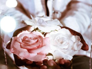 ゆるふわにどうしてもときめけない。気付いた生まれつきの理由とは