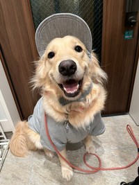 「お洋服はポックルを溺愛している夫によるコーデです」（提供：ロッカ❄️ポックル🌱さん）