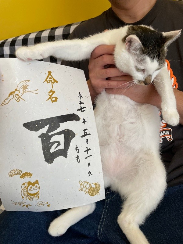 家族の一員になった百ちゃん（画像提供：*ig*さん）