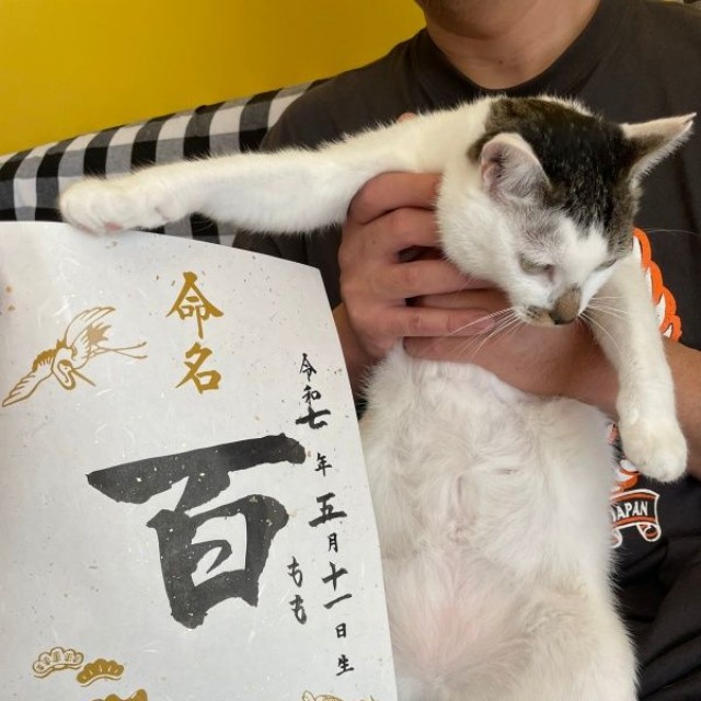 家族の一員になった百ちゃん（画像提供：*ig*さん）