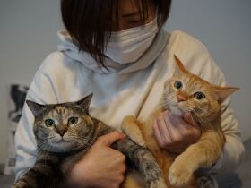 がんになった女性「元気になったら猫を飼う」と決めた　今は２匹の姉弟猫と幸せな日々