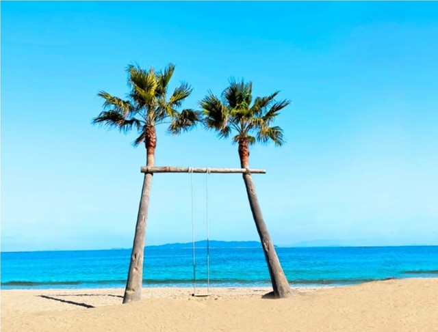 活魚茶屋ざうお本店のヤシの木ブランコ（提供画像）
