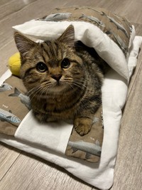 そろそろねんねしてくださーい！