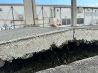 塩入清香（さや）参政党参議院議員 (@sayaohgi)のXより