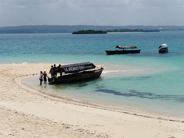 ザンジバル島の魅力は世界遺産だけにあらず 希少な動物と澄んだ海を満喫 朝日新聞globe